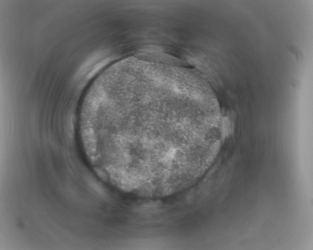 X0000113640243200910162043