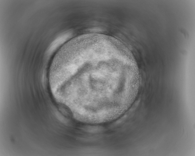 X0000113640245200910162043