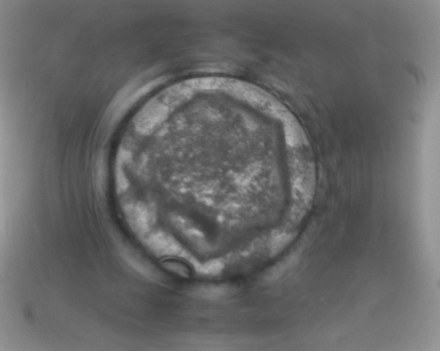 X0000113640247200910162043