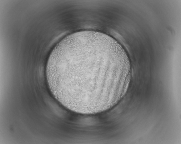 X0000113640249200910162043