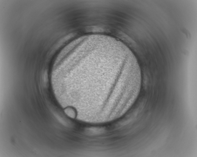 X0000113640251200910162043