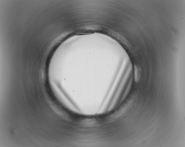 X0000113640252200910162043