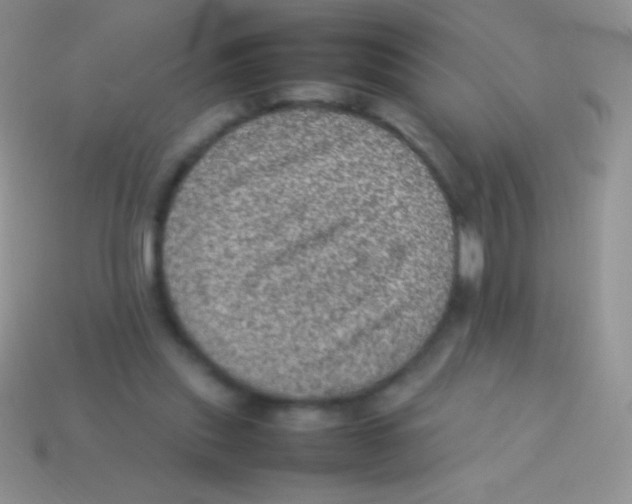 X0000113640253200910162043