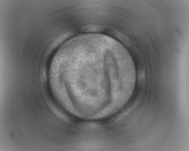 X0000113640254200910162043