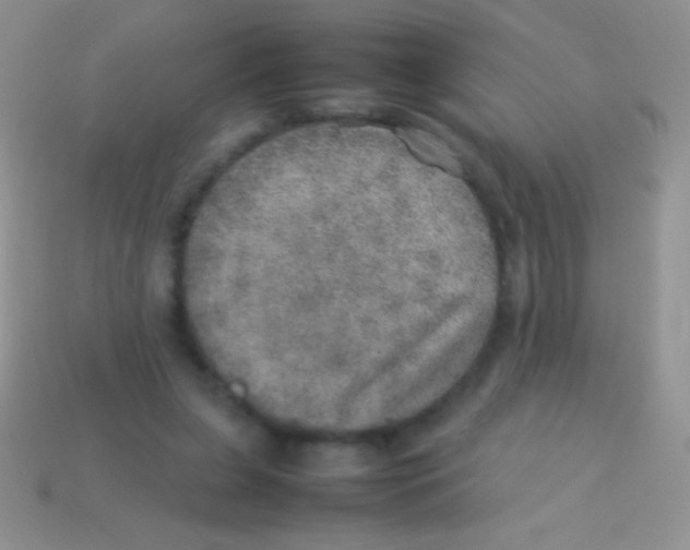 X0000113640255200910162043