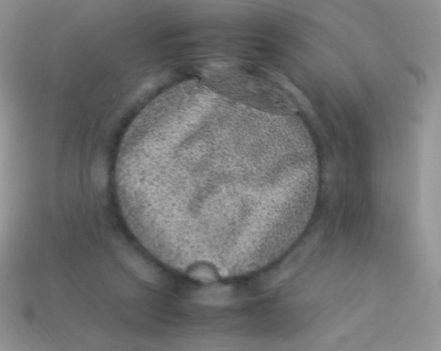 X0000113640257200910162043