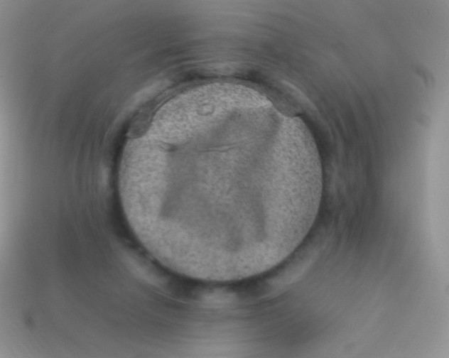 X0000113640258200910162043