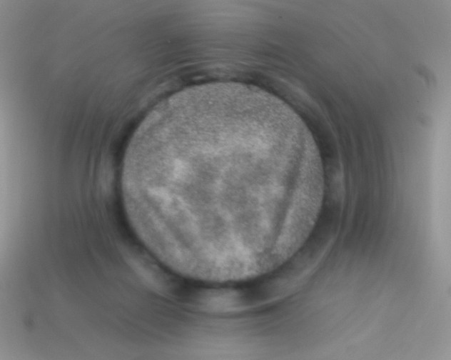 X0000113640266200910162043