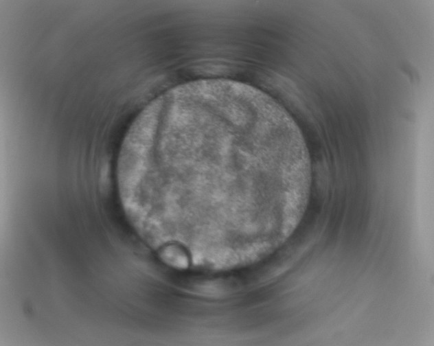 X0000113640267200910162043