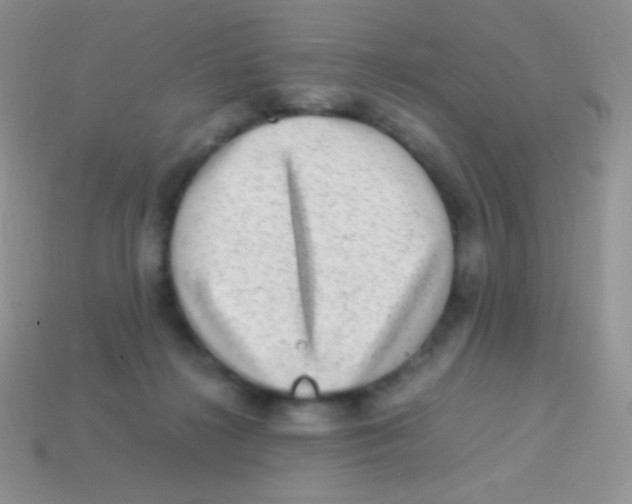 X0000113640268200910162043