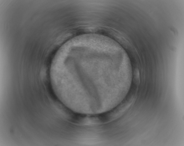 X0000113640270200910162043