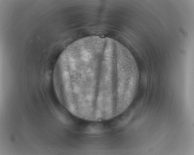 X0000113640271200910162043