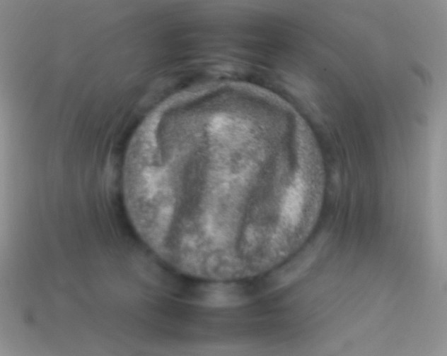 X0000113640273200910162044