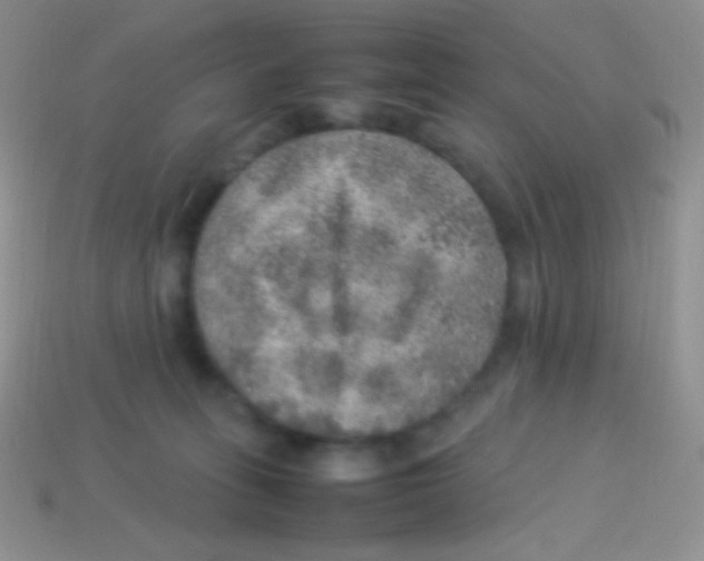 X0000113640275200910162044