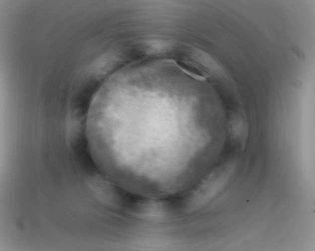 X0000113640276200910162044