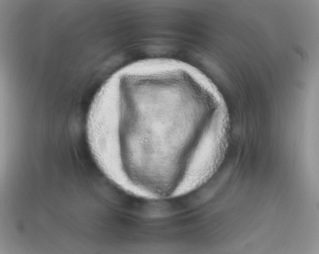 X0000113640277200910162044