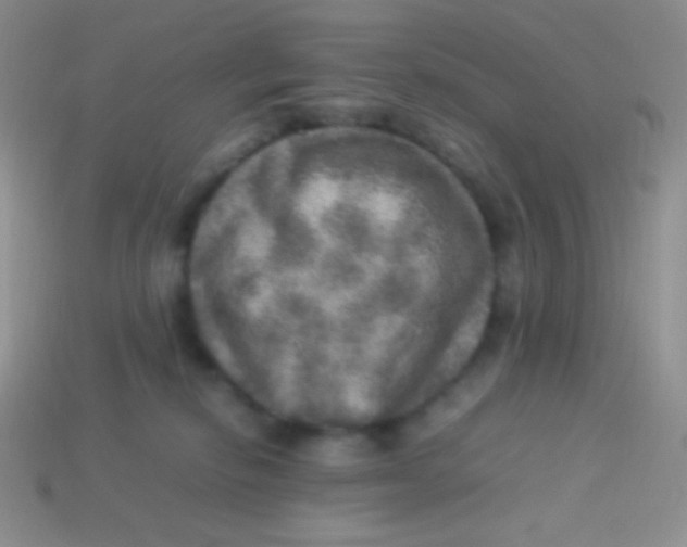 X0000113640278200910162044