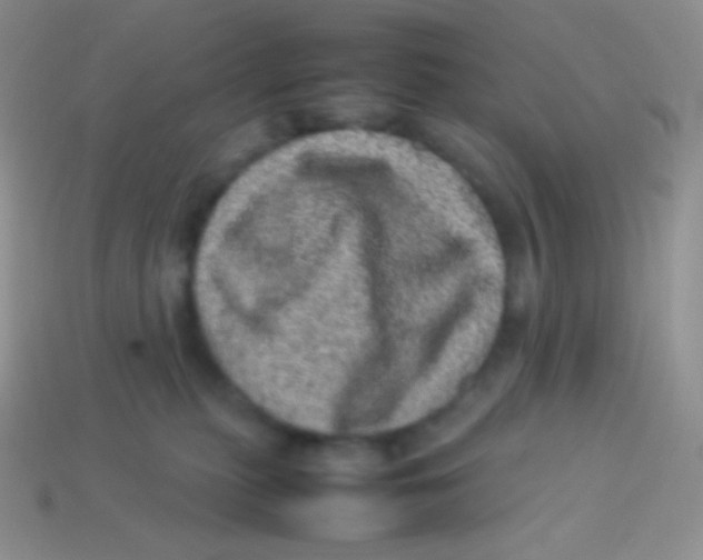 X0000113640279200910162044