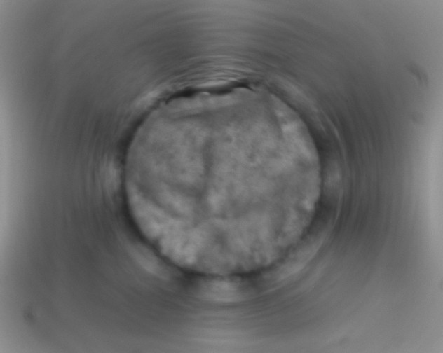 X0000113640282200910162044