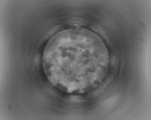 X0000113640283200910162044