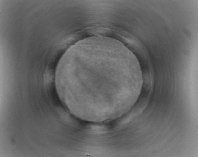 X0000113640284200910162044