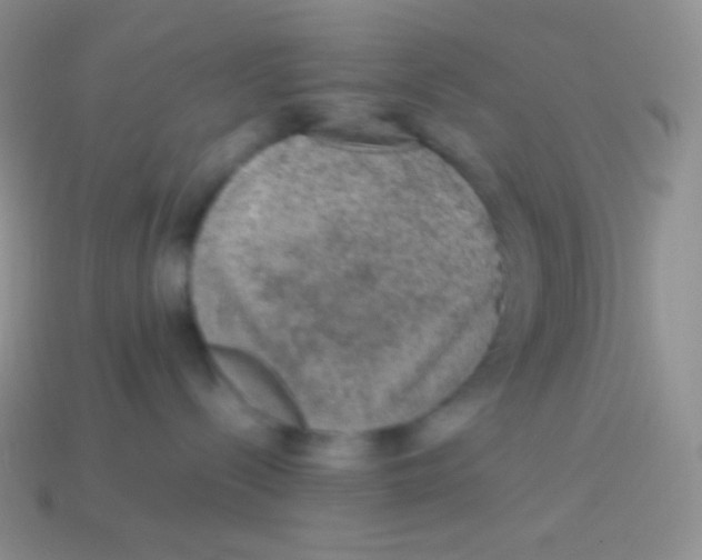 X0000113640288200910162044