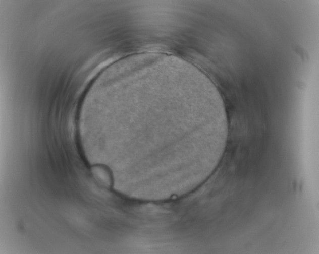 X0000113640290200910162043