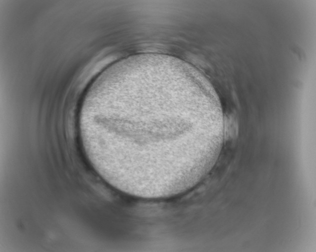 X0000113640291200910162043