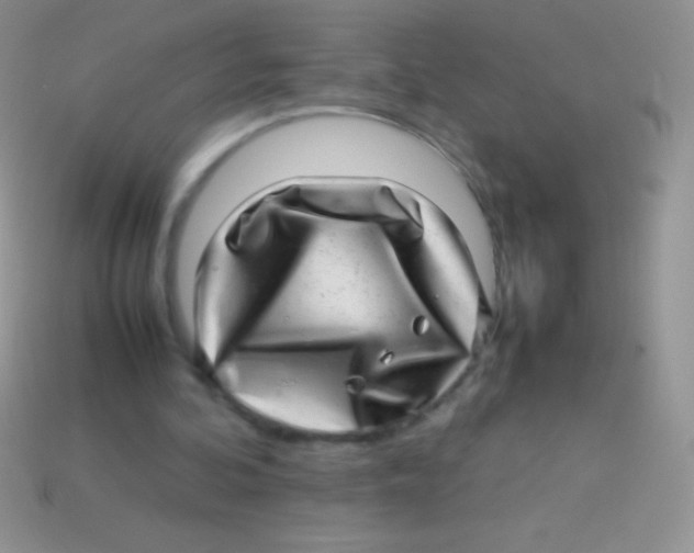 X0000113640292200910162043