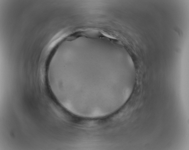 X0000113640295200910162043