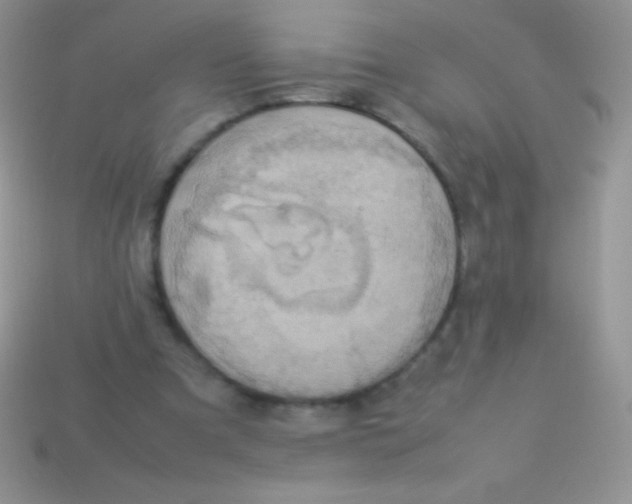 X0000113640297200910162043