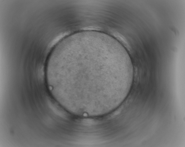 X0000113640298200910162043