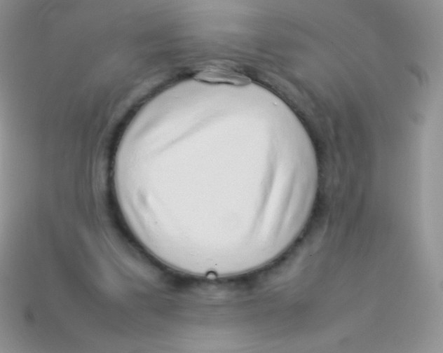 X0000113640299200910162043