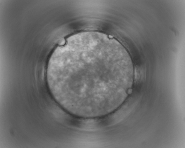 X0000113640301200910162043