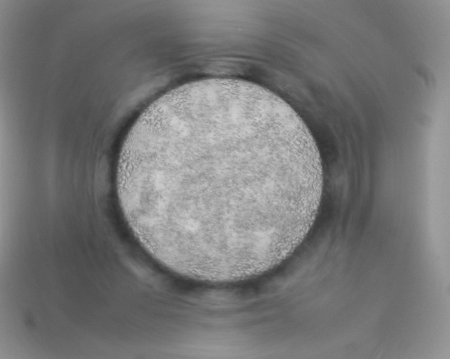 X0000113640303200910162043