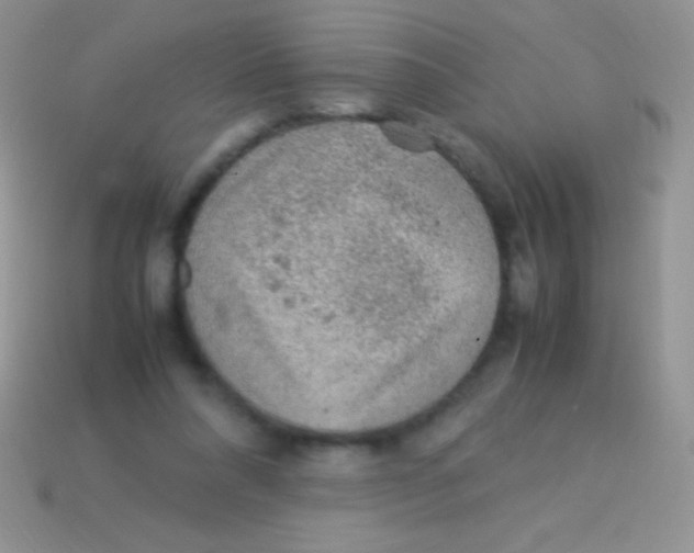 X0000113640304200910162043