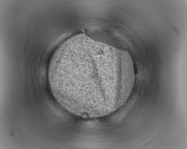 X0000113640306200910162043