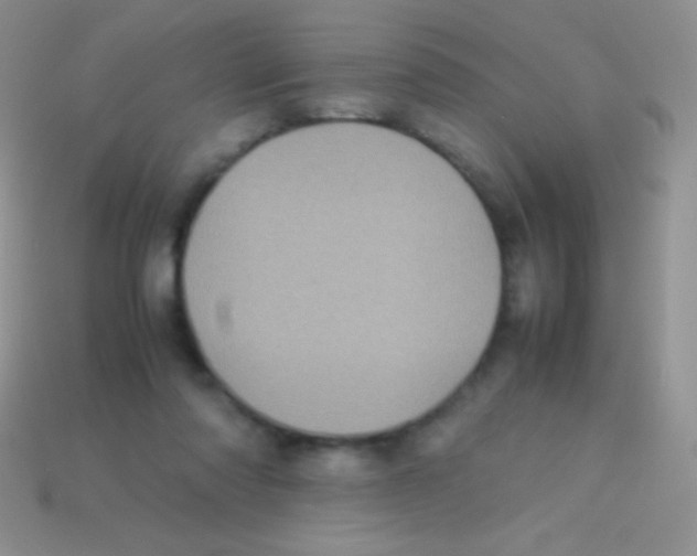 X0000113640310200910162043