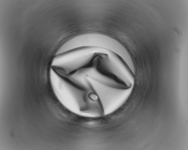 X0000113640312200910162043