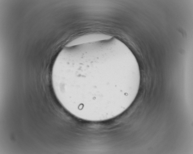 X0000113640313200910162043