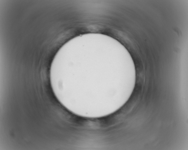 X0000113640317200910162043