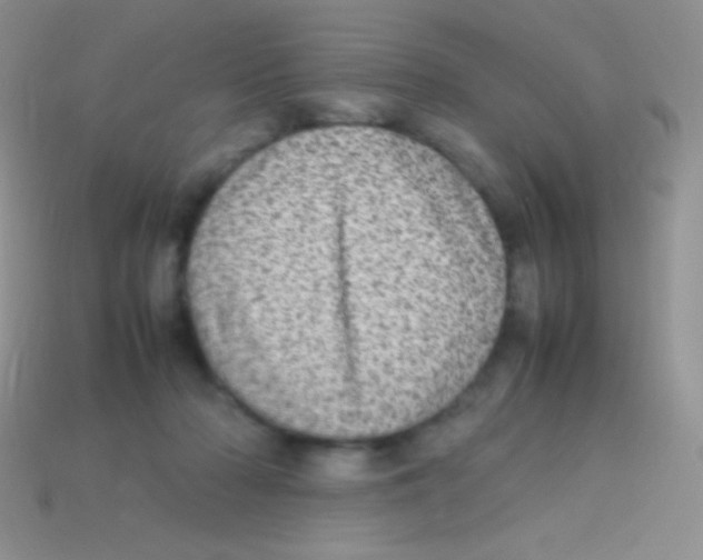 X0000113640318200910162043