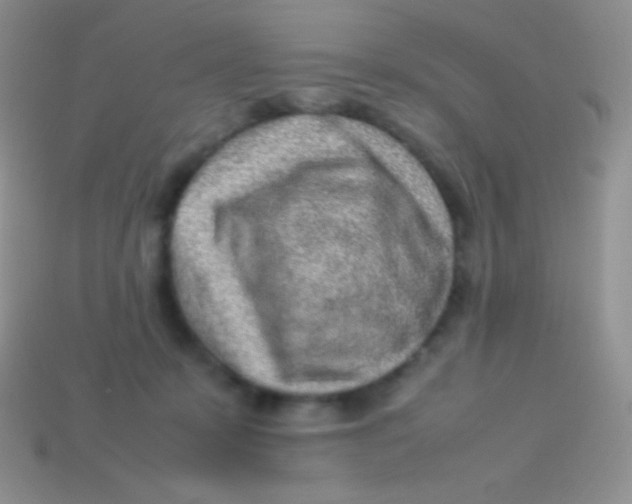 X0000113640319200910162043