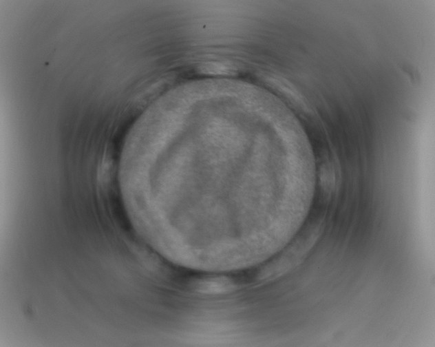 X0000113640322200910162043