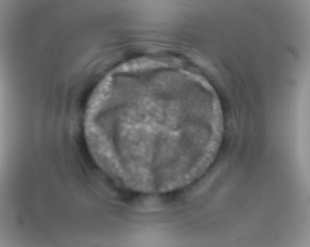 X0000113640325200910162043