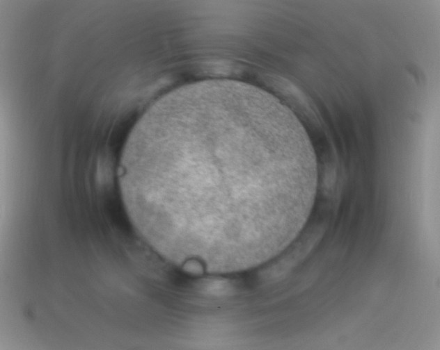 X0000113640326200910162043