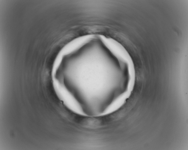 X0000113640327200910162043