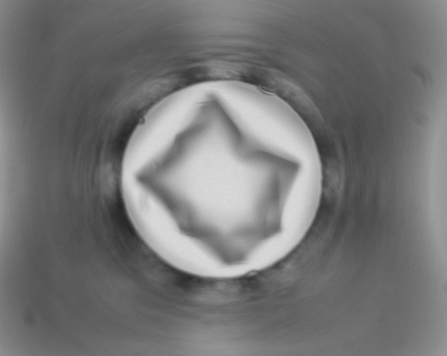 X0000113640329200910162043