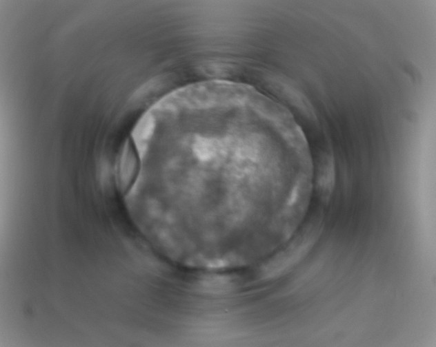 X0000113640332200910162043