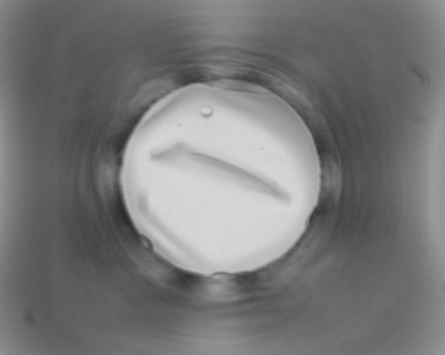 X0000113640333200910162042